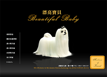 漂亮寶貝寵物Beautiful Baby Dog-Web